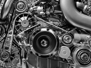 What kind of motor vehicle is in the Bible?