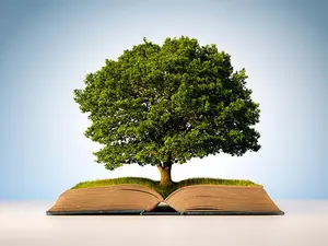 What kind of story do trees love to tell?