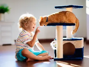 What kinds of cats do kids love to play with?