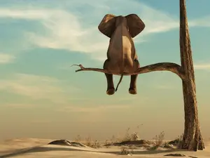 What sound does a grape make when an elephant steps on it?