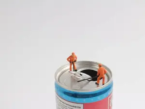 What state is famous for tiny soft drinks?