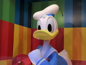 What time does Donald Duck™️ wake up?