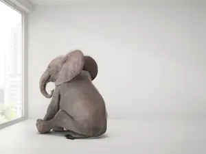 What time is it when an elephant sits on your bed?