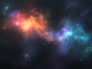 What was the first animal in space?