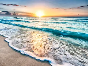 What washes up on miniature beaches?