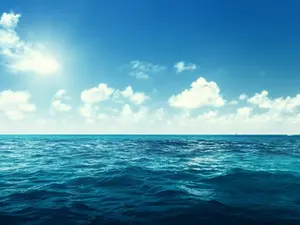 What's the ocean's favorite song?