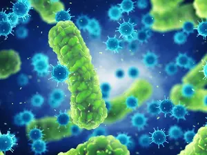 Where do colds go on vacation?