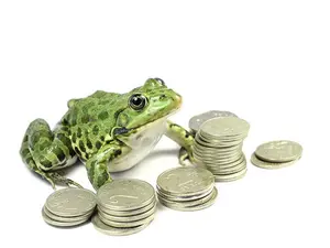 Where do frogs keep their money?