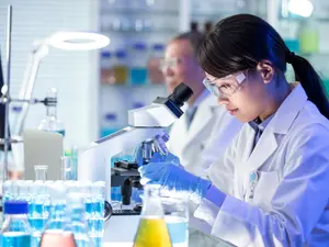 Where does a scientist wizard work?