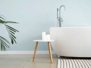 Which birds steal soap from the bath?