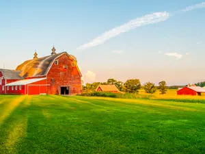 Which farm animals are famous painters?