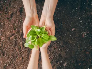 Which parent cares the most for the environment?