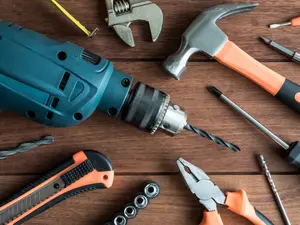 Which sea animal is the best with tools?