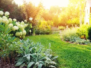 Who is the most obnoxious person in a garden?