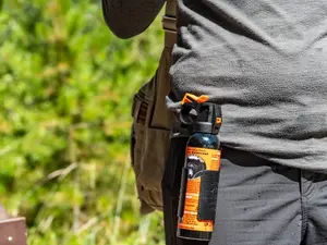 Who should carry the bear mace when hiking with friends?