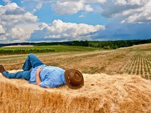 Why are farmers so laid-back?