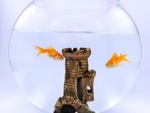 Why are fish such good architects?