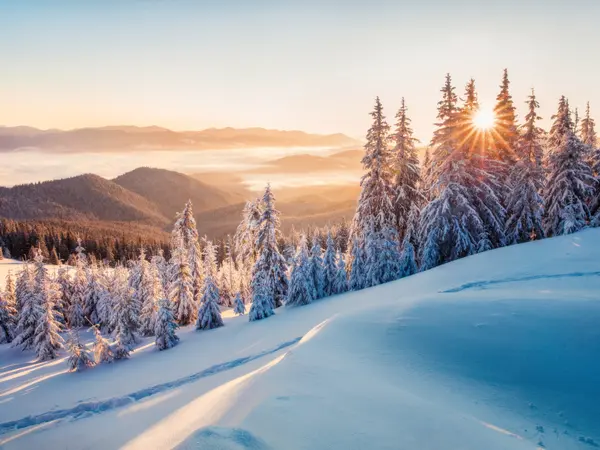 15 Witty Winter Jokes to Warm the Soul