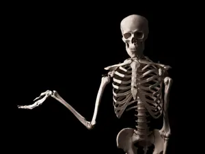 Why can't skeletons play music at a church?