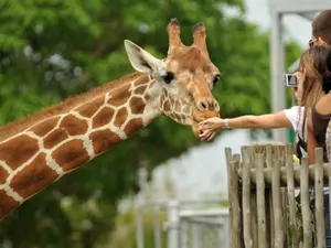 Why couldn't anyone call the zoo?