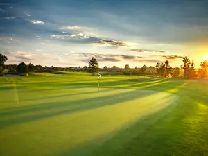 Why did Tarzan spend so much time on the golf course?