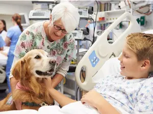 Why did the doctor let his dog help with his patients?