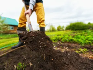 Why did the farmer bury all his cash?