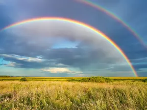 Why did the leprechaun climb over the rainbow?
