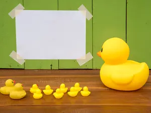 Why did the mother duck make such a great schoolteacher?