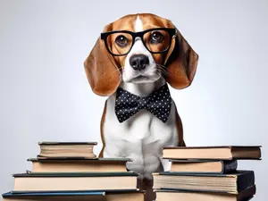 Why did the puppy struggle in school?