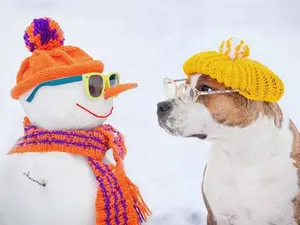 Why did the snowman call his dog Frost?
