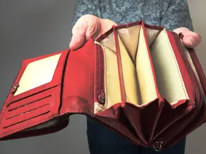 Why did the woman walk outside with her purse open?