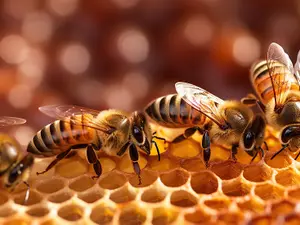 Why do bees refuse to use cellphones?