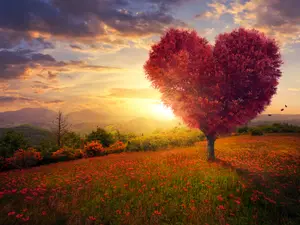 Why do trees have a hard time in relationships?