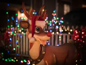 Why does Rudolph love to get wet?