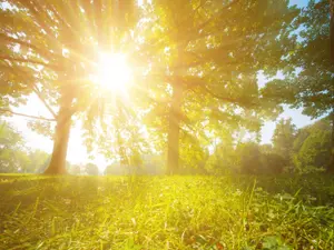 Why does the sun love to go back to school?