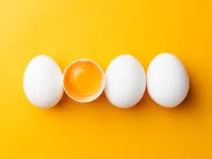 Why don't eggs tell each other jokes?