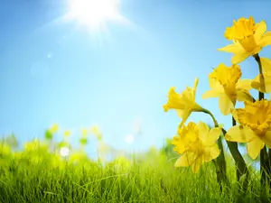 Why is spring the oddest season?