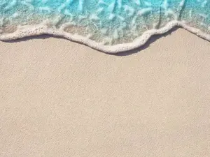 Why is the beach so confident?