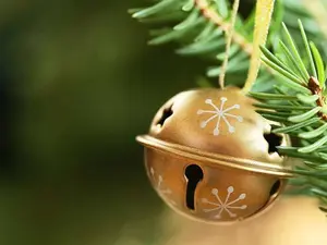 What do you get when you cross a bell with a skunk?