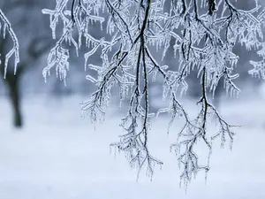 You have to be very careful in an ice storm.