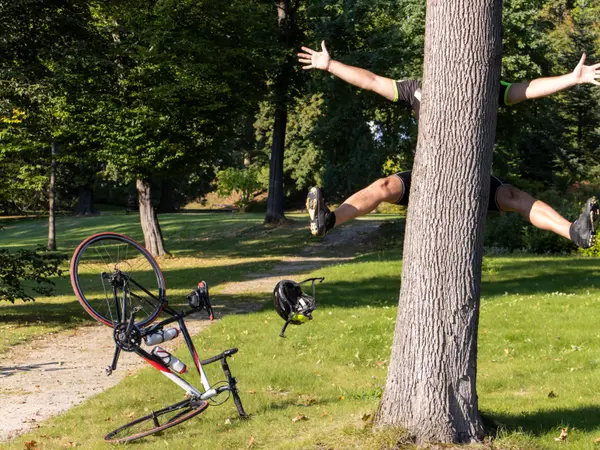 You Wood Knot Be-leaf How Funny These 20 Tree Jokes Are